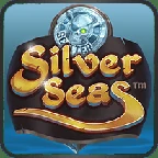 Microgaming slot